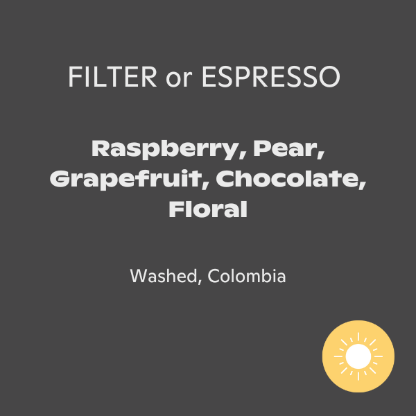 Rogue Wave Coffee - La Lomita