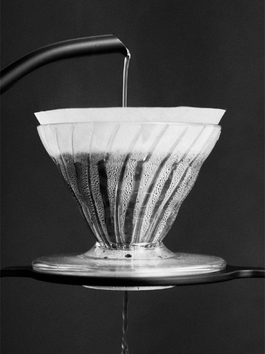 SIBARIST CONE Specialty Coffee Filters