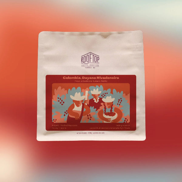 Rooftop - Dayana Rivadeneira