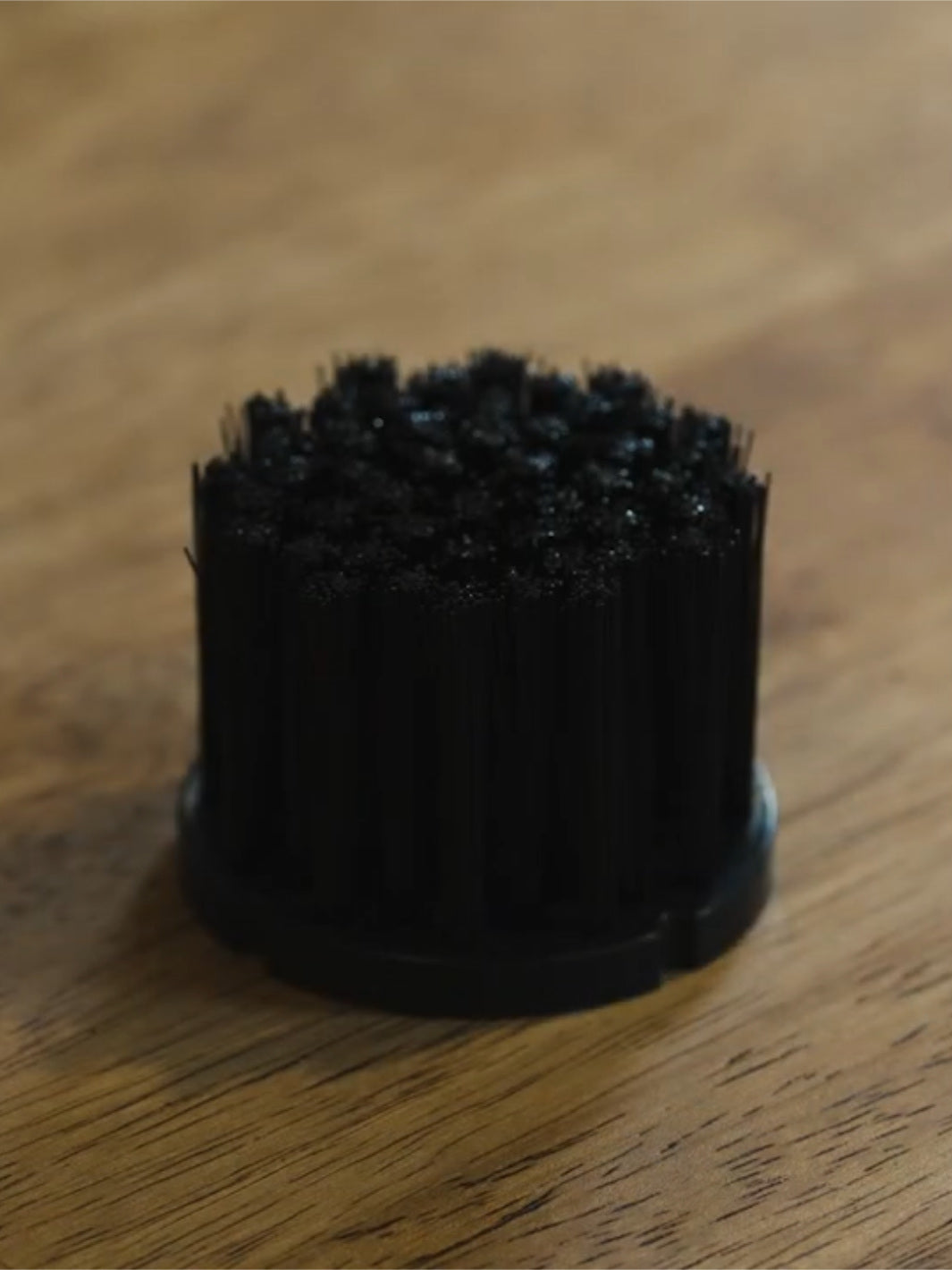 DUOMO Replacement Brush – Eight Ounce Coffee