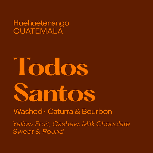 Subtext - Todos Santos Espresso