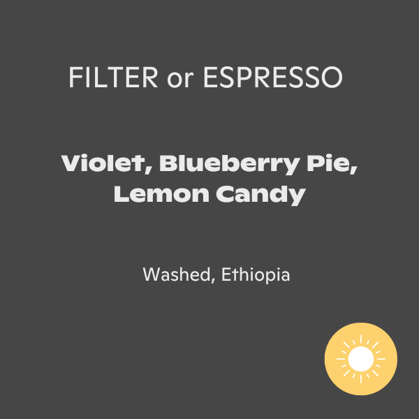 Photo of Moklair - Madda Bloom ( ) [ Moklair ] [ Coffee ]