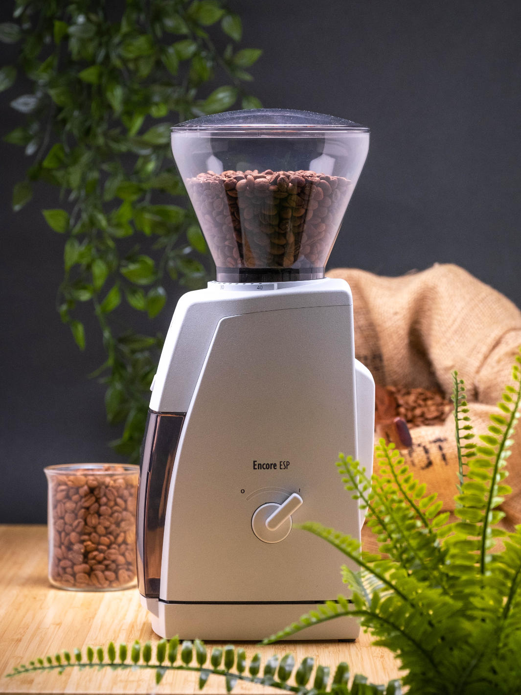 BARATZA Encore™ ESP Coffee Grinder (120V)