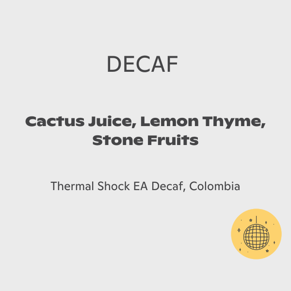 Friedhats - Wilton Benitez Decaf Omni