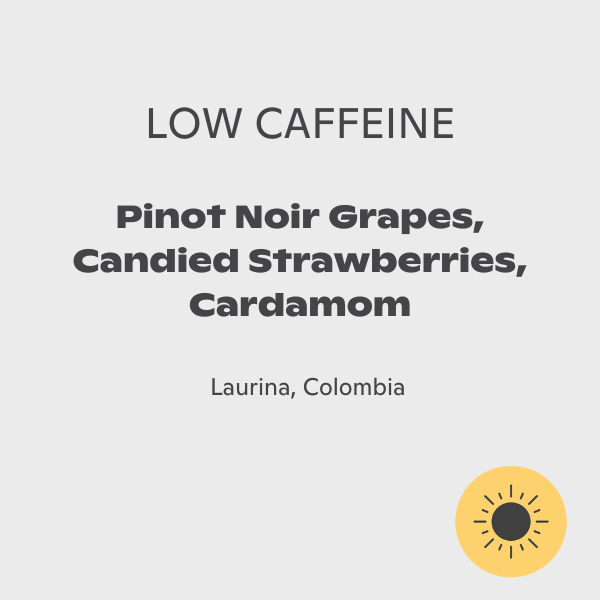 Photo of Sorellina - XOXO, Laurina ( ) [ Sorellina ] [ Coffee ]