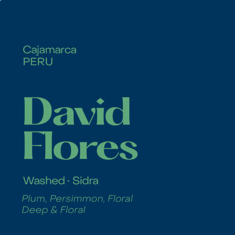 Subtext - David Flores