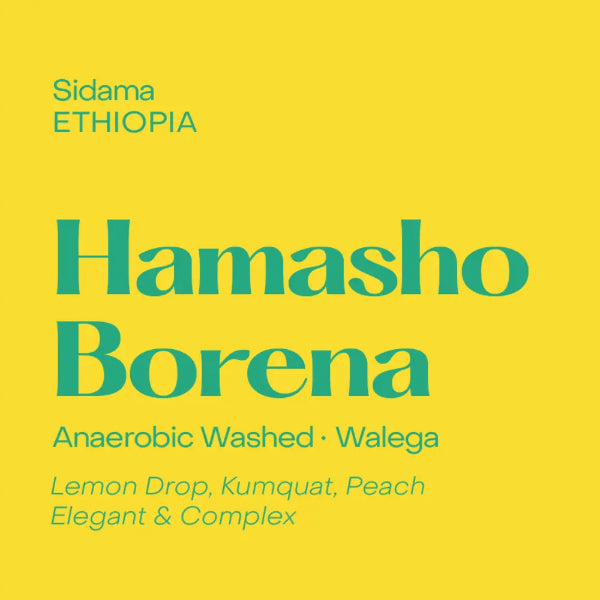 Subtext - Hamasho Borena
