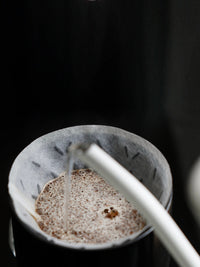 Photo of GRAYCANO GC01 Filters (100-Pack) ( ) [ Graycano ] [ Paper Filters ]