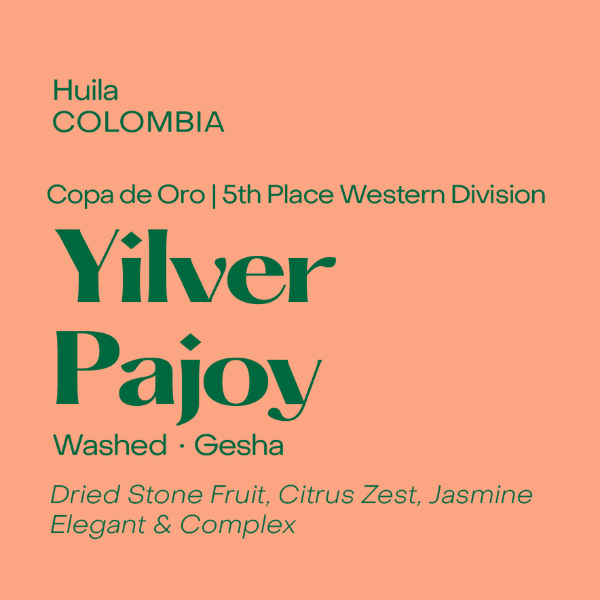 Subtext - Yilver Pajoy