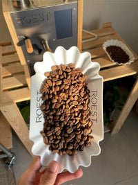 Photo of ROEST Bean Tray (3-Pack) ( ) [ ROEST ] [ Cupping Tools ]