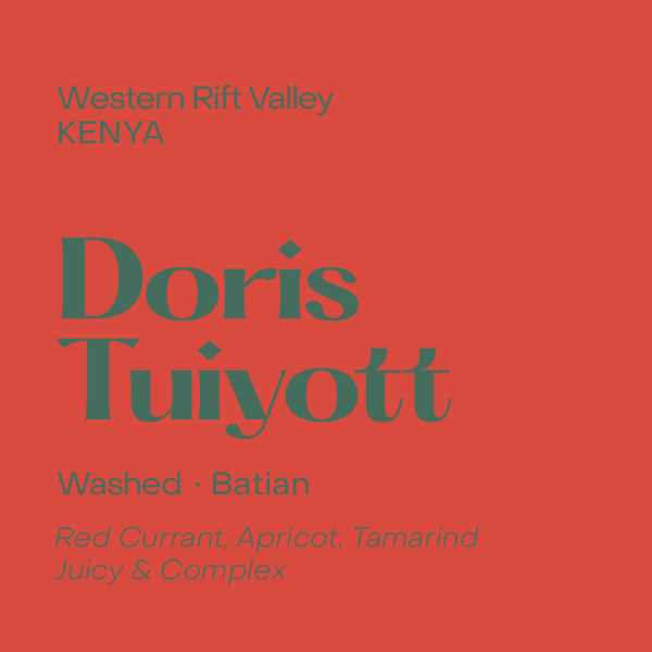 Subtext - Doris Tuiyott