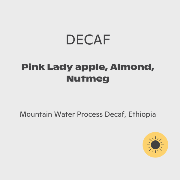 Brandywine - Sidama MWP Decaf