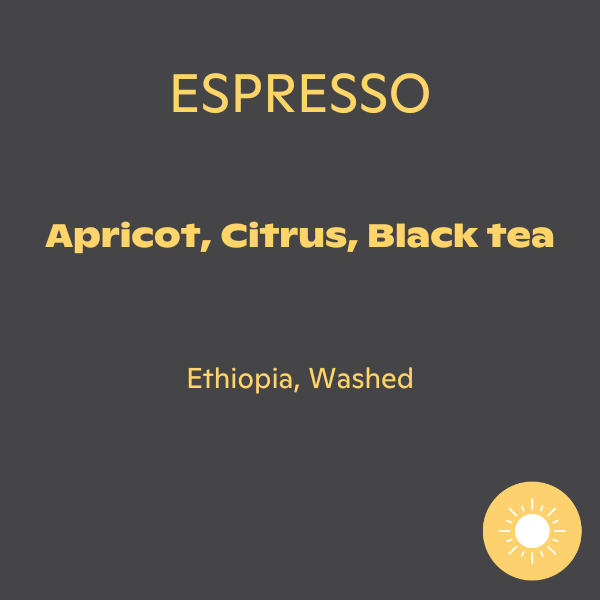 Ethica - Riripa Espresso: Washed, Ethiopia (250g)