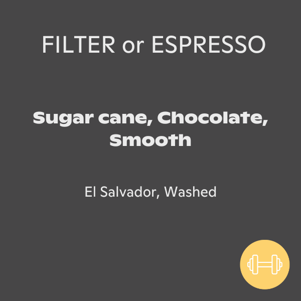 Photo of Firebat - El Ausol: Washed, El Salvador (340g) ( ) [ Firebat Coffee Roasters ] [ Coffee ]