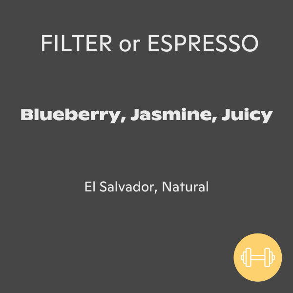 Photo of Firebat - La Roxanita: Natural, El Salvador (340g) ( ) [ Firebat Coffee Roasters ] [ Coffee ]