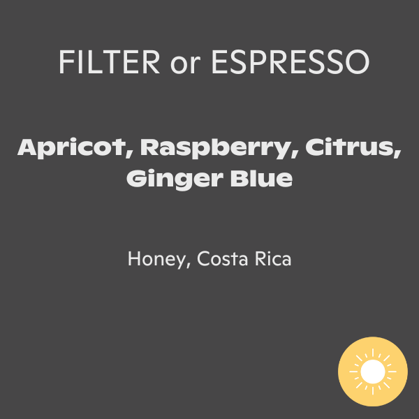 Fritz Coffee - Las Margaritas 26 Millenio Honey