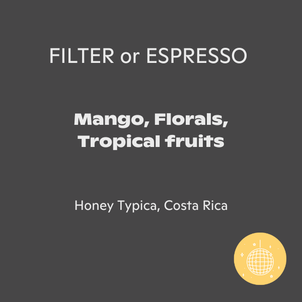 Fritz Coffee - San Isidro Labrador Typica