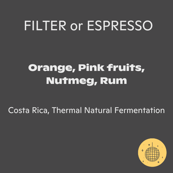 Photo of Sloane - Fernando Cordero: Thermal Natural Fermentation, Costa Rica (200g) ( ) [ Sloane Coffee ] [ Coffee ]