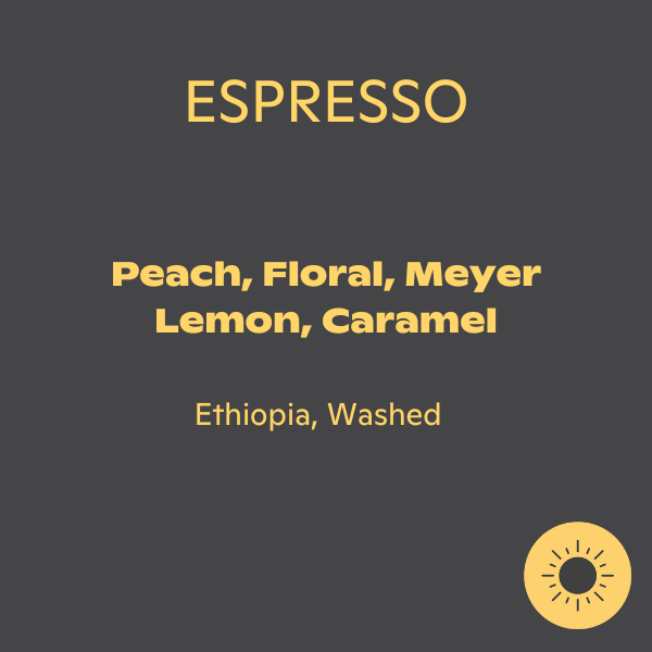 September - Candy Flower Espresso: Washed, Ethiopia (250g)