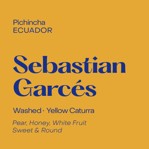 Photo of Subtext - Sebastian Garcés: Yellow Caturra ( Default Title ) [ Subtext Coffee Roasters ] [ Coffee ]