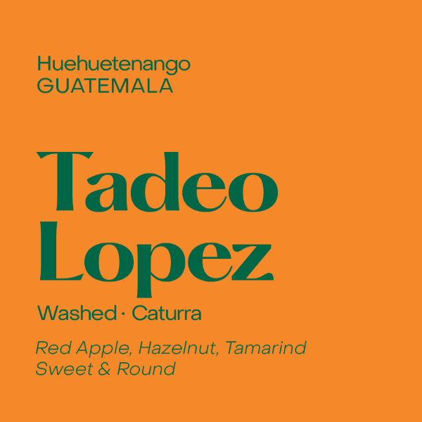 Photo of Subtext - Tadeo Lopez: Caturra ( Default Title ) [ Subtext Coffee Roasters ] [ Coffee ]