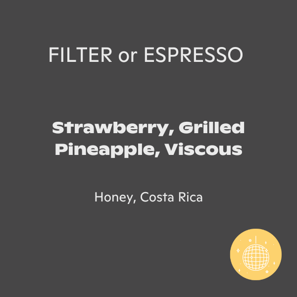 Assembly Coffee - Rumudamo: Anaerobic Natural