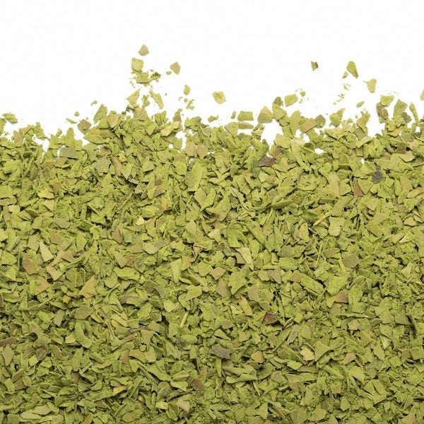 Photo of Camellia Sinensis - Dynamo Organic (150g) ( ) [ Camellia Sinensis ] [ Tea ]