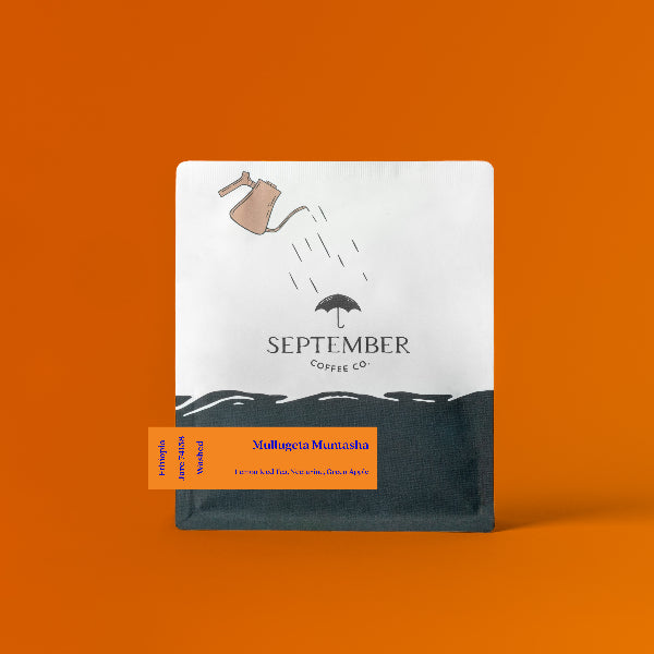 September - Mullugeta Muntasha: Washed