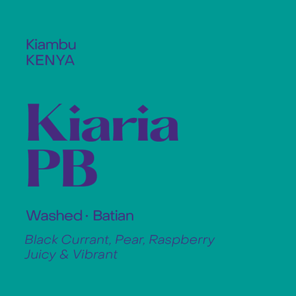 Photo of Subtext - Kiaria PB ( Default Title ) [ Subtext Coffee Roasters ] [ Coffee ]