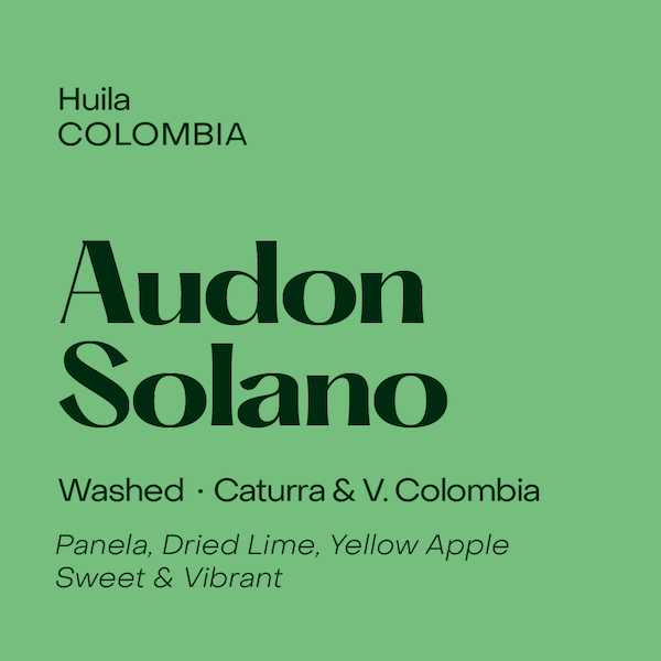 Subtext - Audon Solano