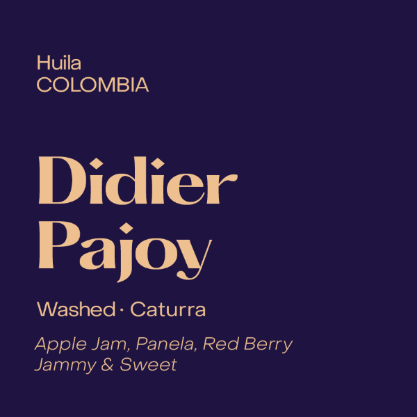 Subtext  - Didier Pajoy Espresso