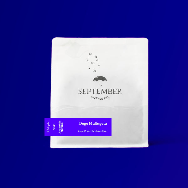 September - Dege Mullugeta