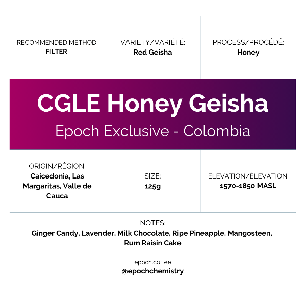 Photo of Epoch Chemistry - Epoch Exclusive: CGLE Honey Geisha ( Default Title ) [ Epoch Chemistry ] [ Coffee ]