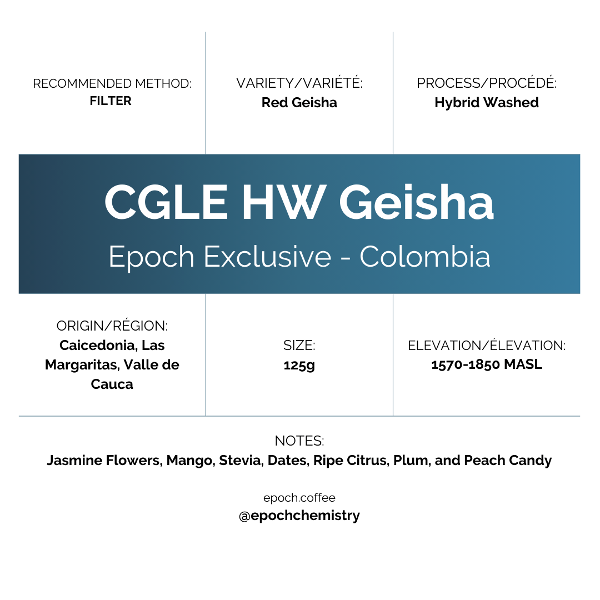 Photo of Epoch Chemistry - Epoch Exclusive: CGLE HW Geisha ( Default Title ) [ Epoch Chemistry ] [ Coffee ]