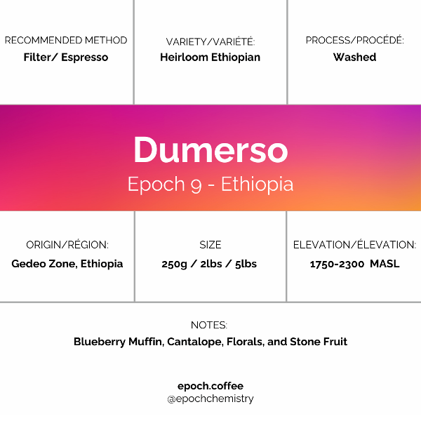 Epoch Chemistry - Epoch 9 Dumerso