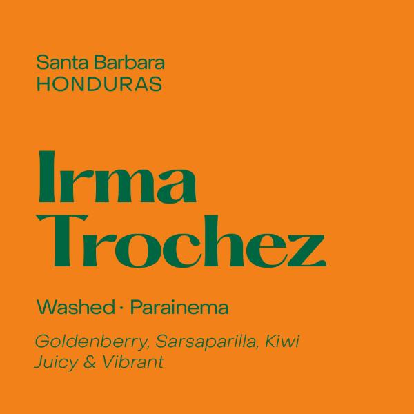 Subtext - Irma Trochez