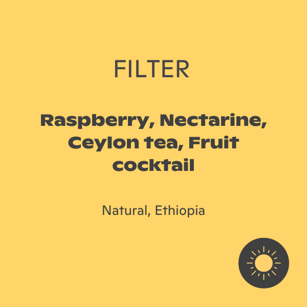 Fritz Coffee - Guji Uraga