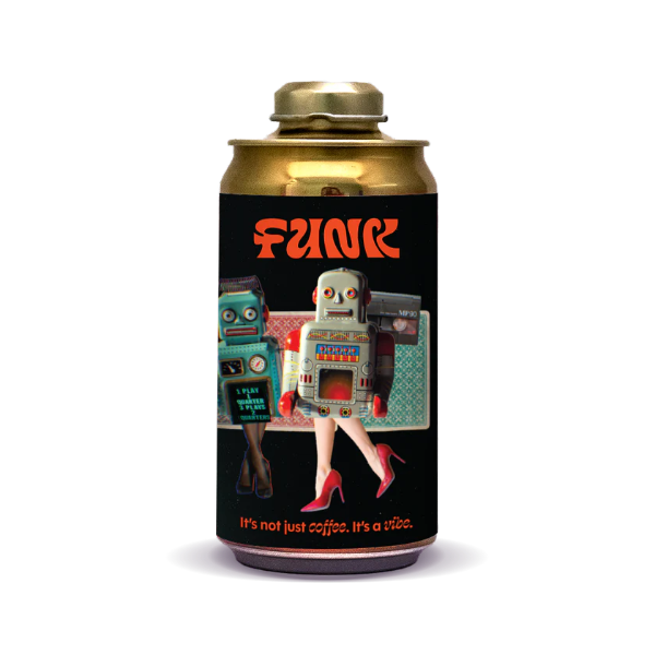 FUNK - I Can't Imagine