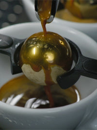 Photo of NUCLEUS Paragon Espresso Chilling Rock (6-Pack) (Lightly Used) ( ) [ Yard Sale ] [ Yard Sale ]