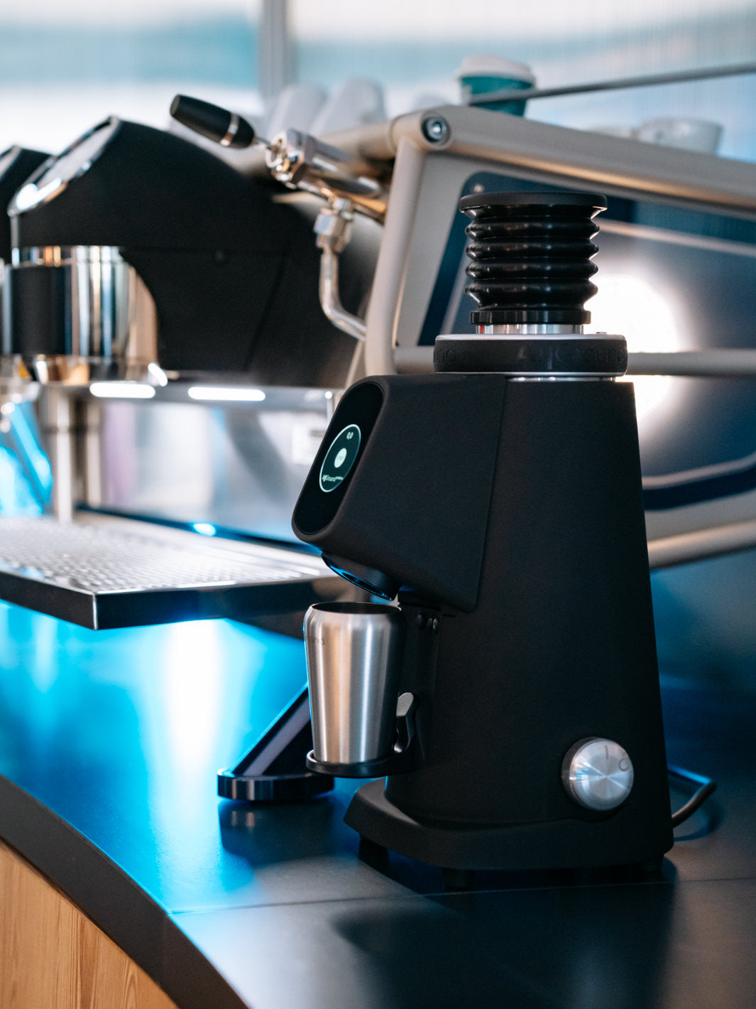 FIORENZATO AllGround ProBrew Coffee Grinder (120V)