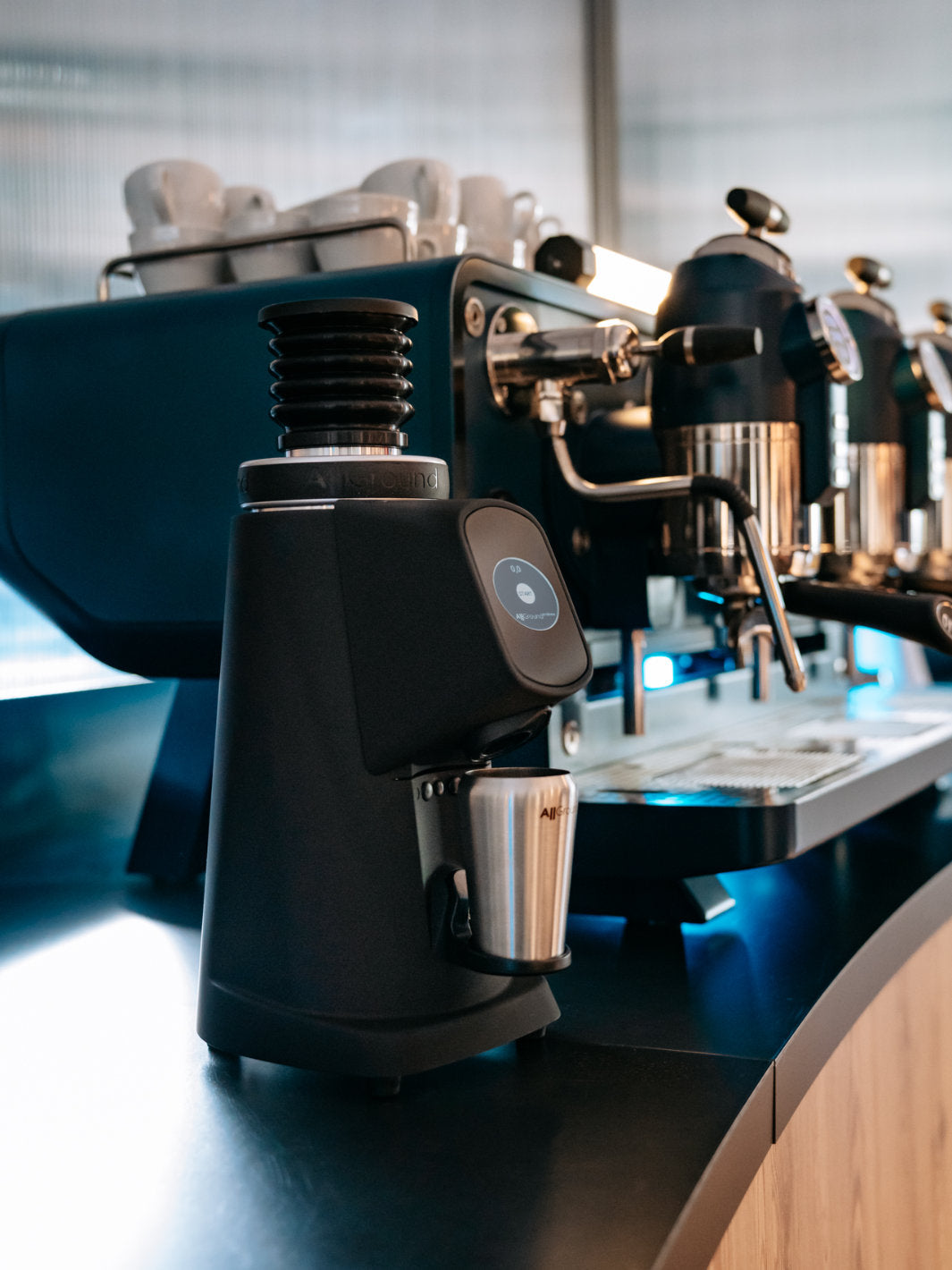 FIORENZATO AllGround ProBrew Coffee Grinder (120V)