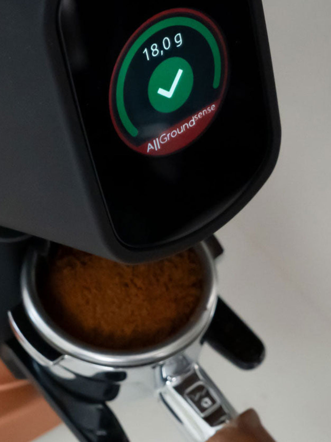 FIORENZATO AllGround Sense Coffee Grinder (120V)