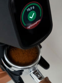 Photo of FIORENZATO AllGround Sense Coffee Grinder (120V) ( ) [ Fiorenzato ] [ Electric Grinders ]