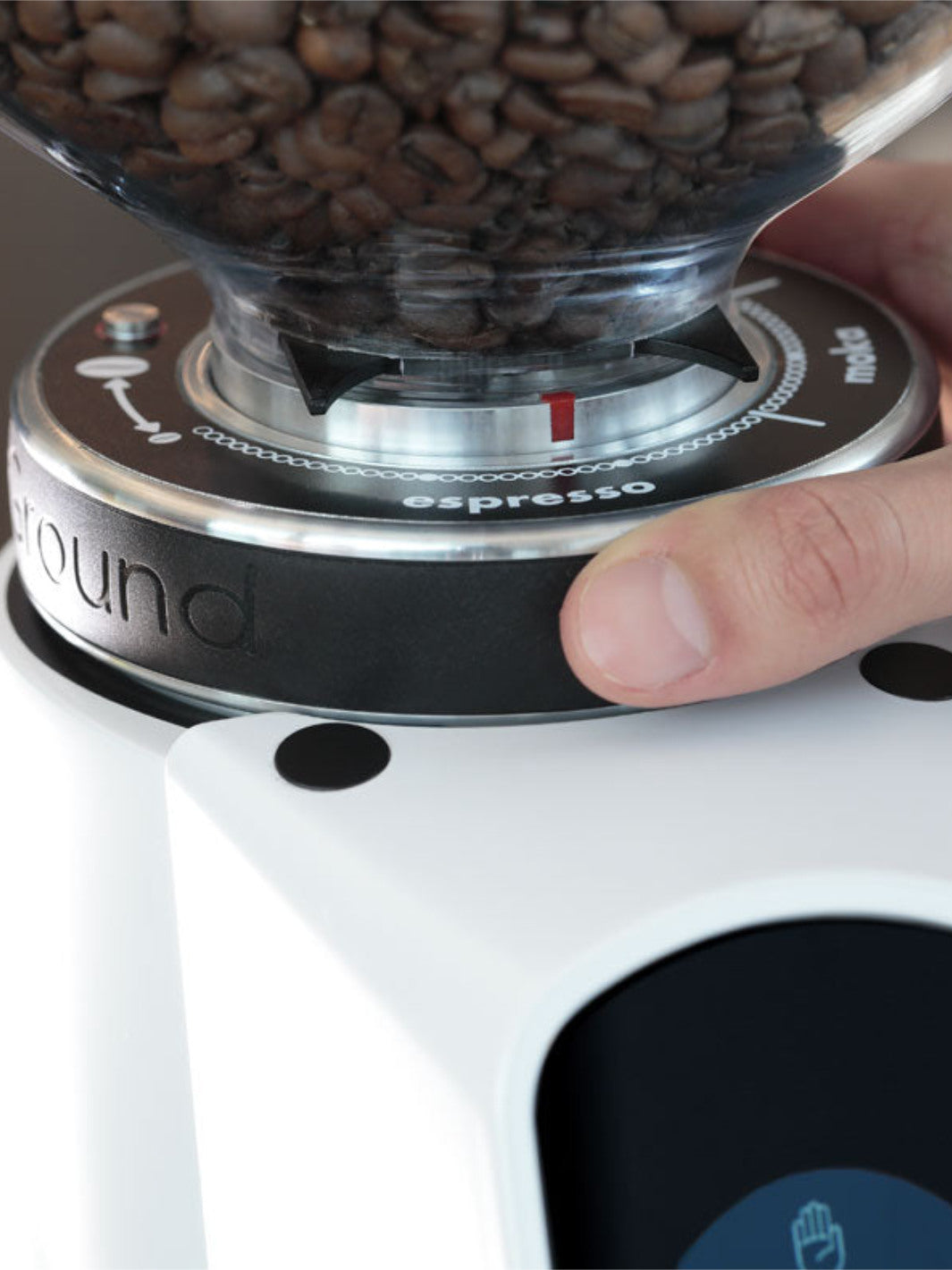 FIORENZATO AllGround Coffee Grinder (120V)