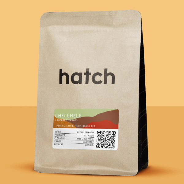 Hatch - Chelchele