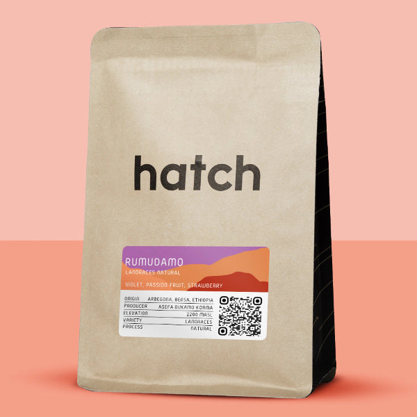 Hatch - Rumudamo