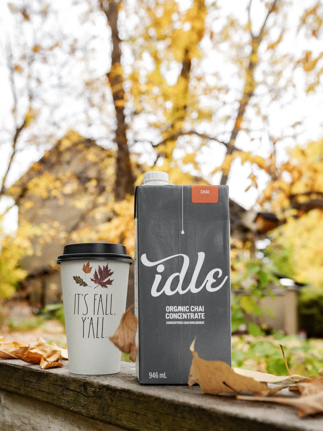 IDLE Organic Chai Concentrate