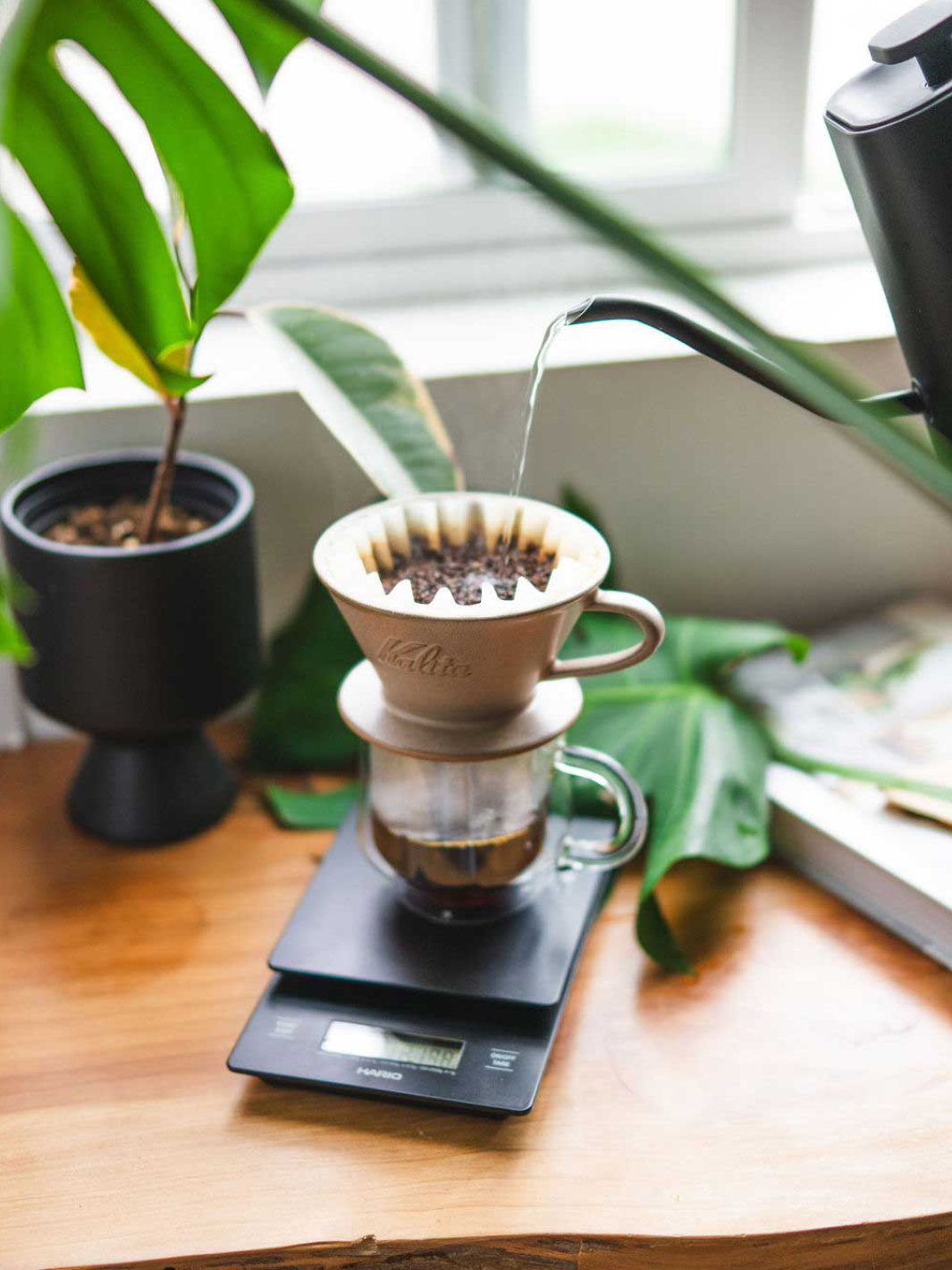 KALITA Wave 185 MINO Pottery Dripper