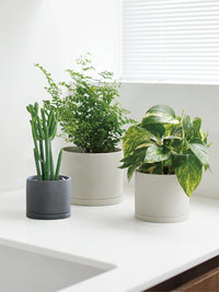 Photo of KINTO PLANT POT 191 (⌀85mm/3.4in) ( ) [ KINTO ] [ Plant Pots ]