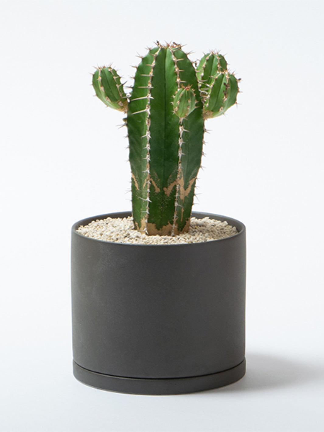 KINTO PLANT POT 191 (⌀135mm/5.4in)